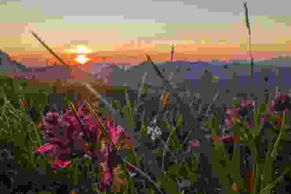 Wandernacht - Sonnenaufgangstour – Gipfelerlebnis auf dem Wildspitz