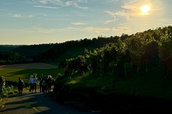 Weinwandernacht im Zürcher Weinland