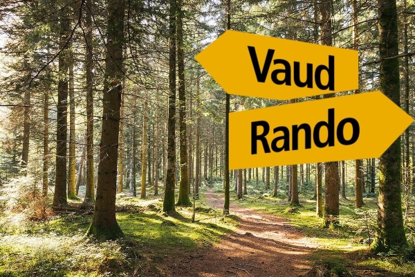 Nuit de la Rando de Vaud Rando - Promenons-nous dans le Parc naturel du Jorat