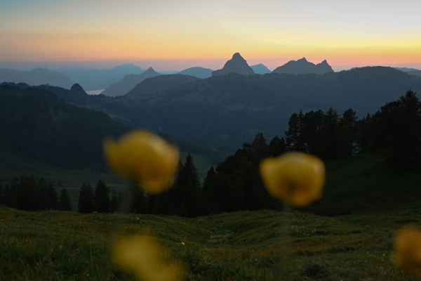 Wandernacht Roggenstock mit Adlerhorst