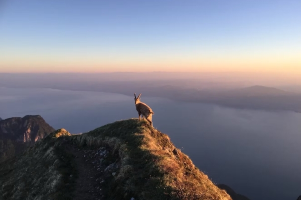 Coucher du soleil sur le Leman depuis de le Grammont