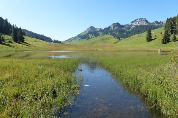 Der Schatz vom Gräppelensee