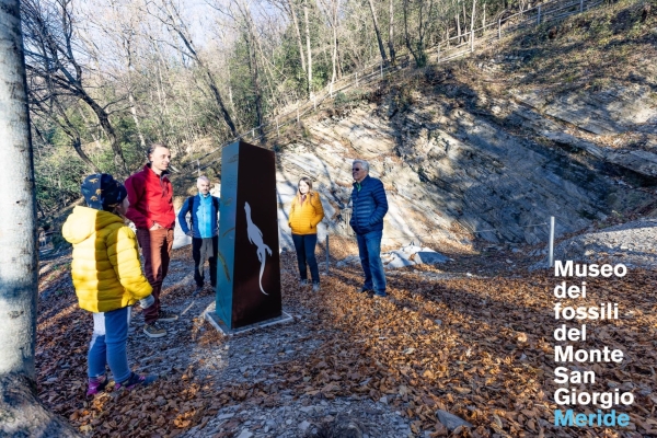 240 milioni di anni in una notte – Escursione sul Monte San Giorgio UNESCO