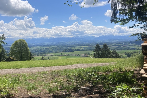 Wie Tag und Nacht - eine Wanderung zu Orten voller Gegensätze